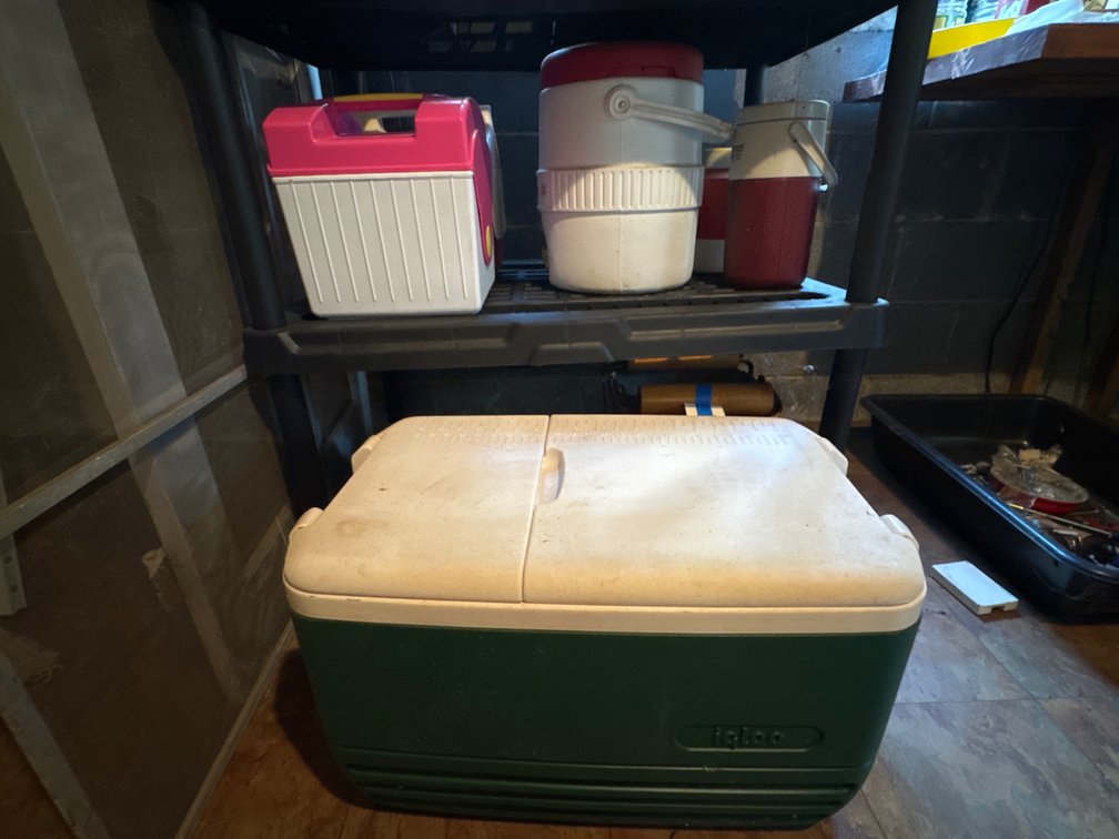 Igloo Insulated Coolers and Beverage Jugs