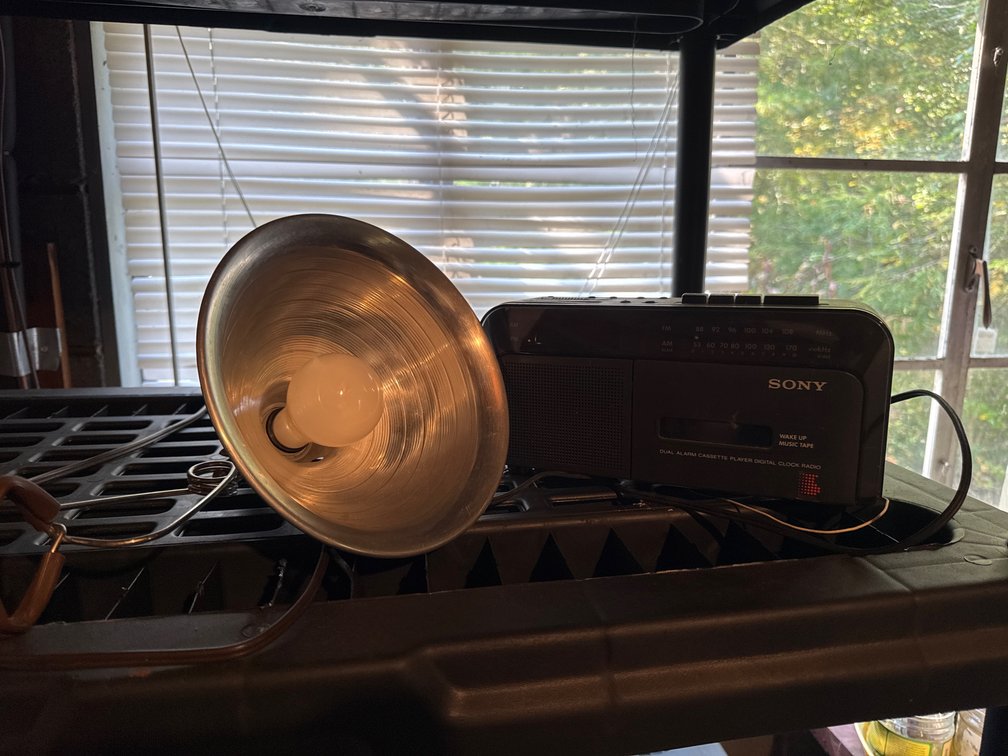 Sony Clock Radio with Cassette Player