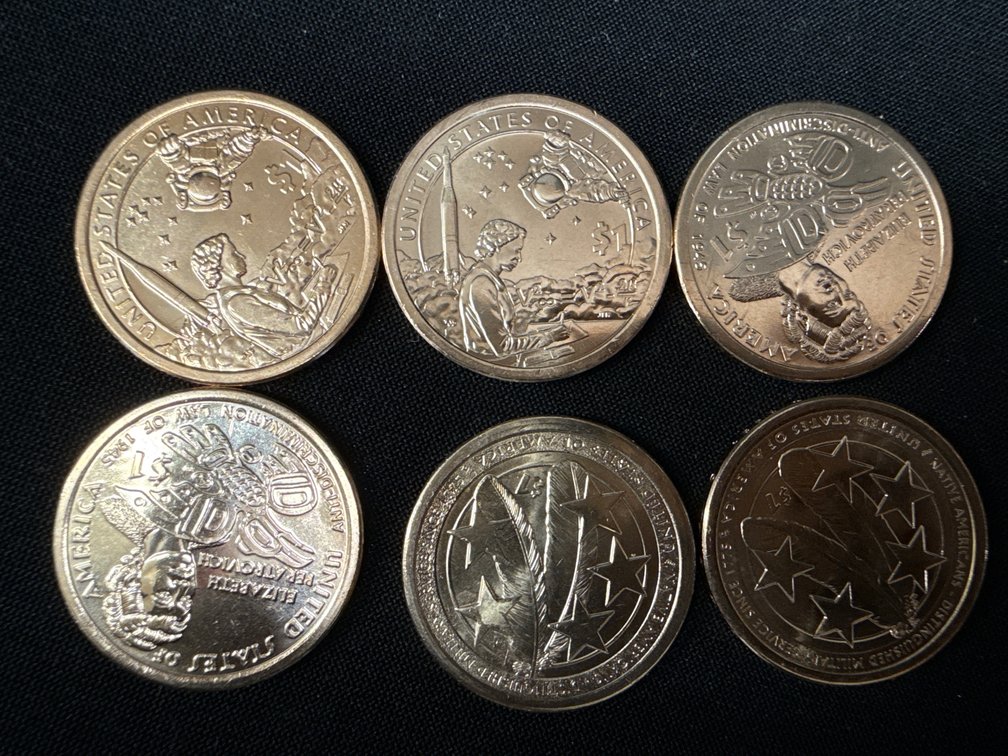 2019-2021 P&D Native American $1 Coin Set