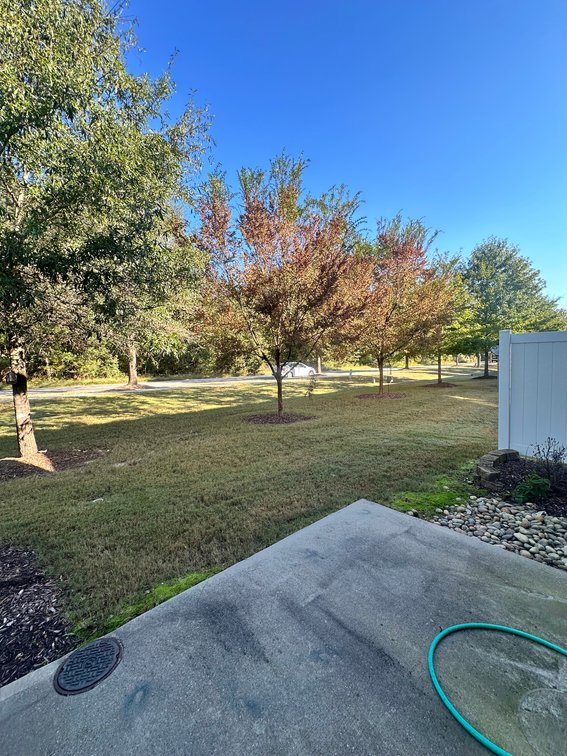 Wake Forest Townhome