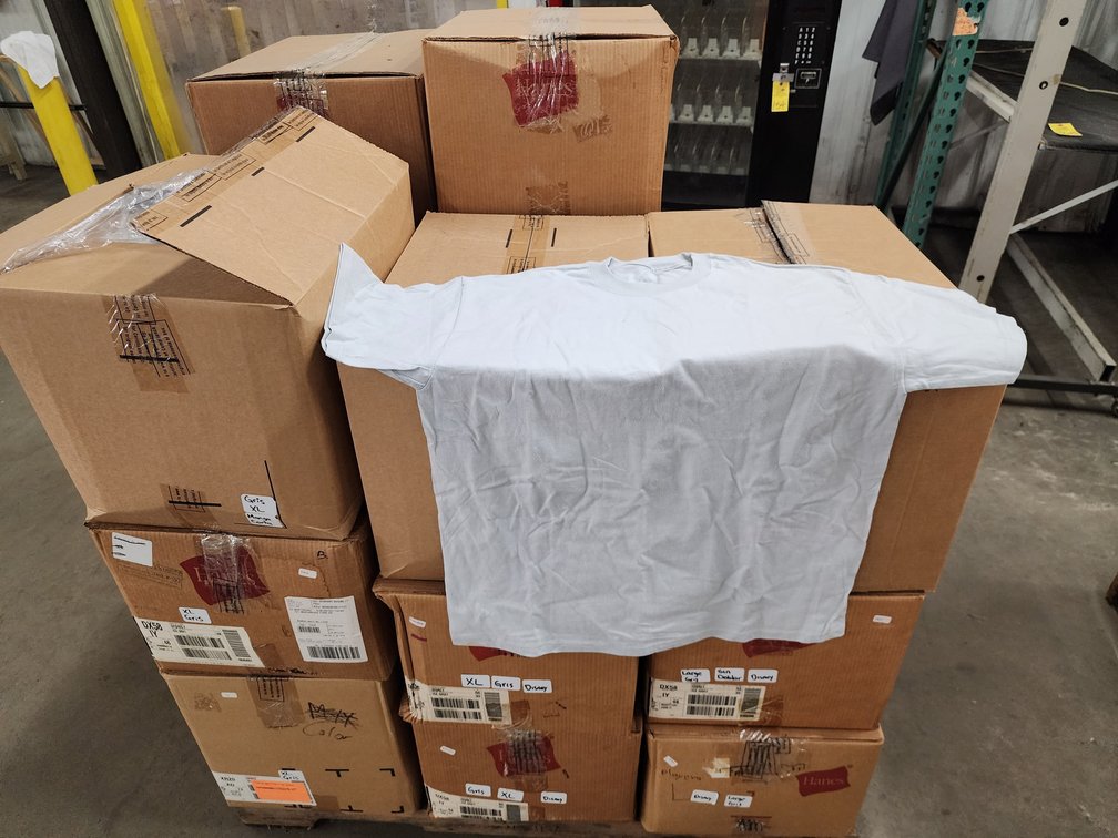 Disney Hanes T-Shirts