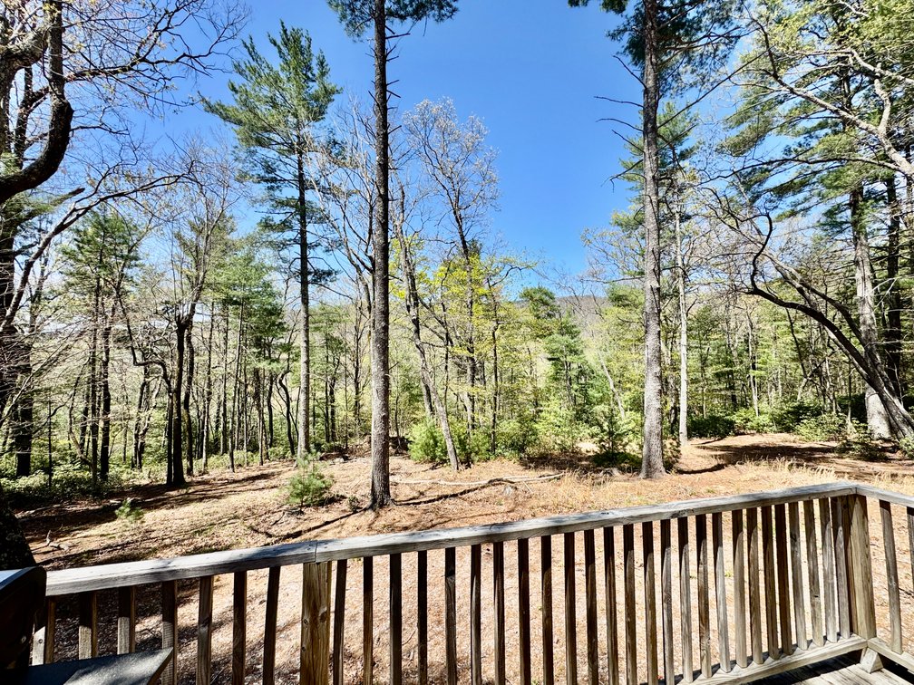 Secluded Wilkes County, NC Cabin