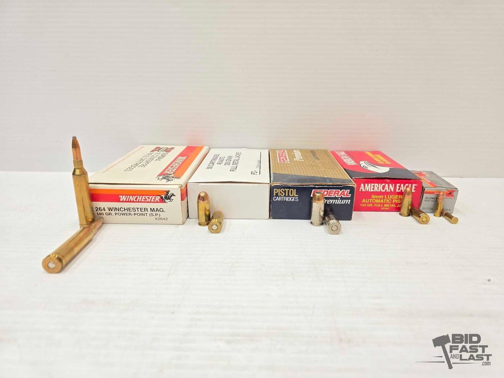 Assorted Ammo