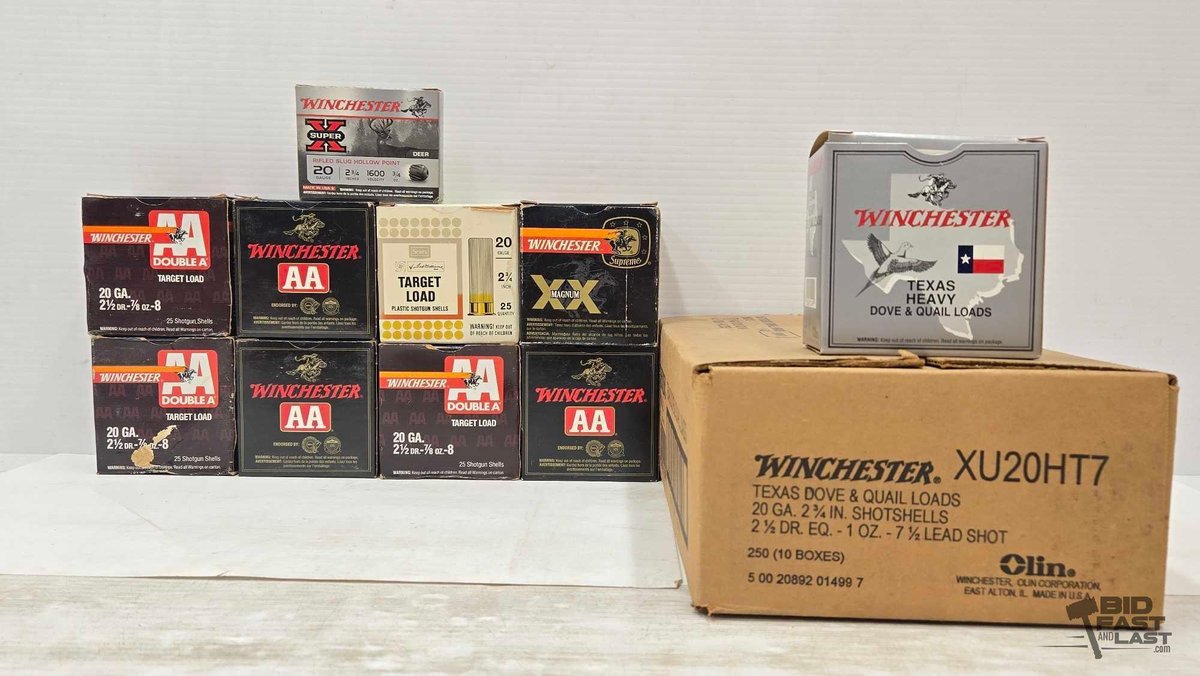 Mixed 20-Gauge Ammunition