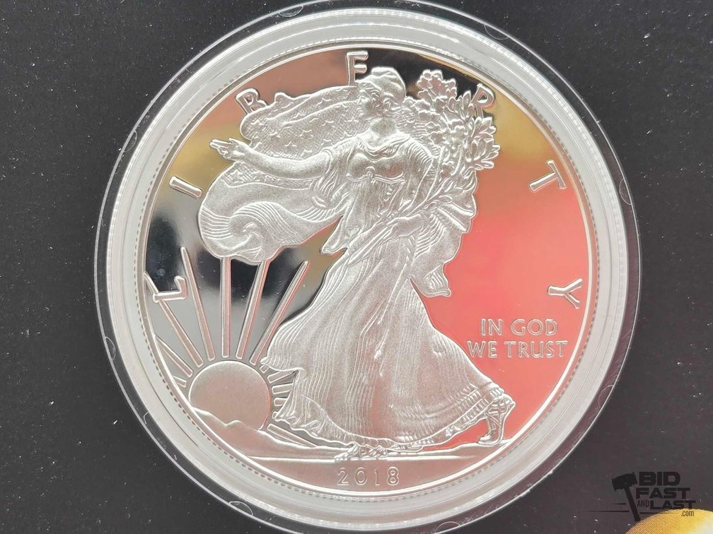 2018 American Silver Eagle Proof Coin .999 1ozt Silver