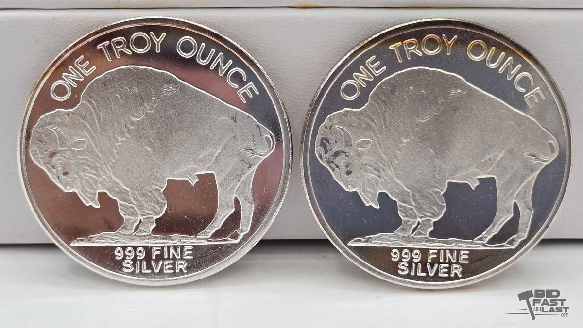 (2) American Silver Buffalo Rounds