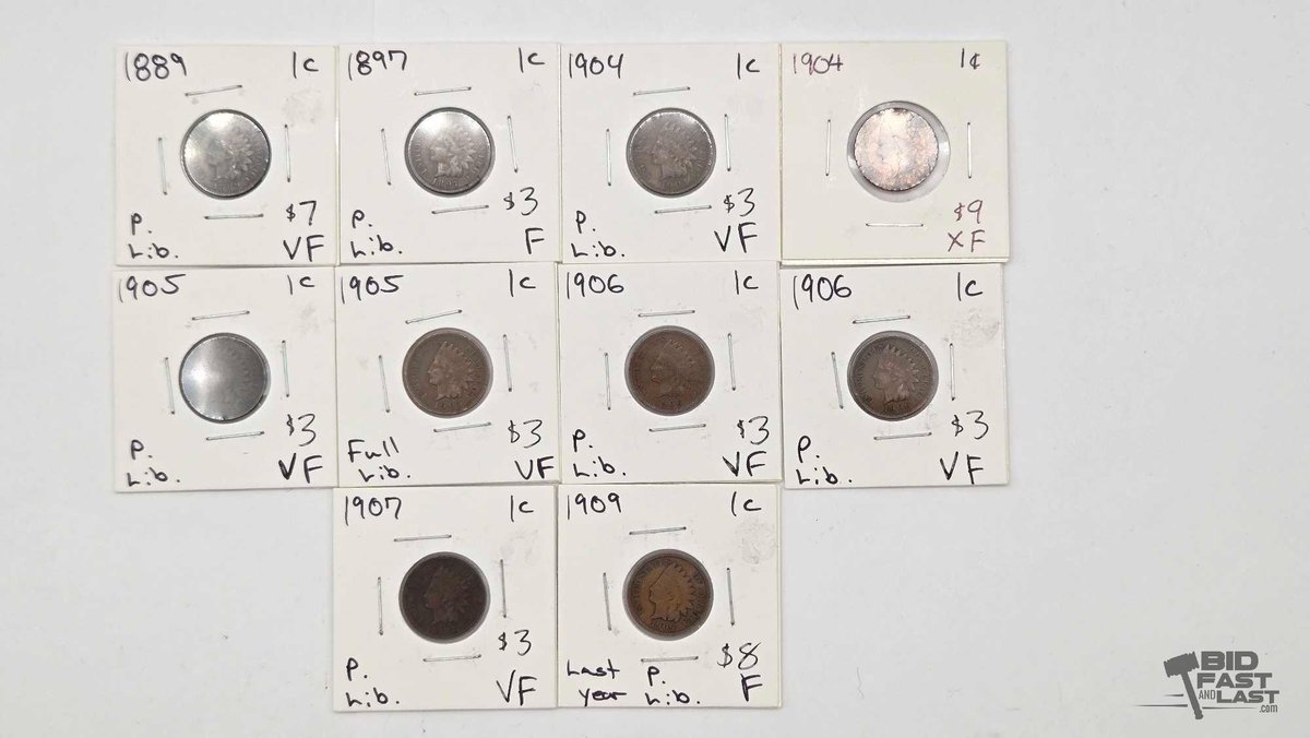 (10) 1889-1909 Indian Head Pennies