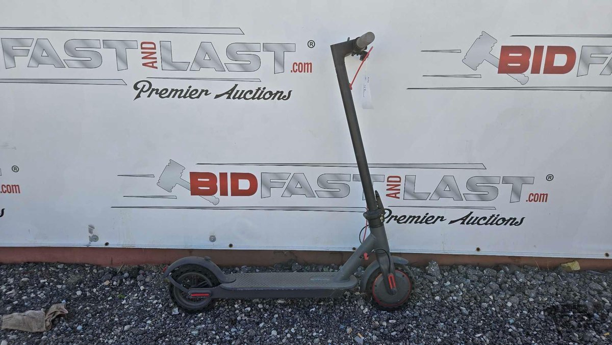 Roinside Electric Scooter