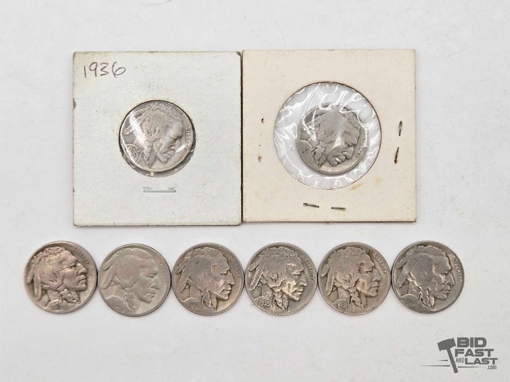 (8) Buffalo Nickels: Two Carded Coins Plus Six Loose