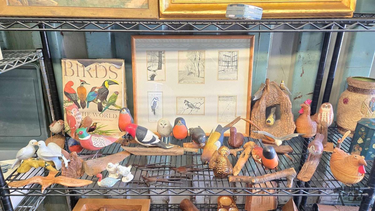Bird Decor Collection: Birds of the World Book, Bird Figures & Framed Drawings
