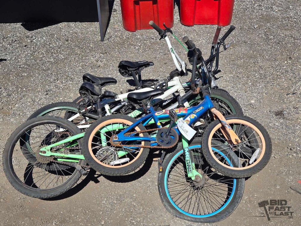 (5) Mixed Style Bicycles