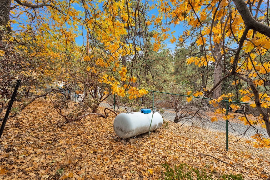 Image for Idyllwild Mountain Retreat