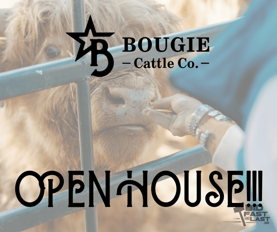 Image for Bougie Cattle Co Spring Fling Mini Cow Auction