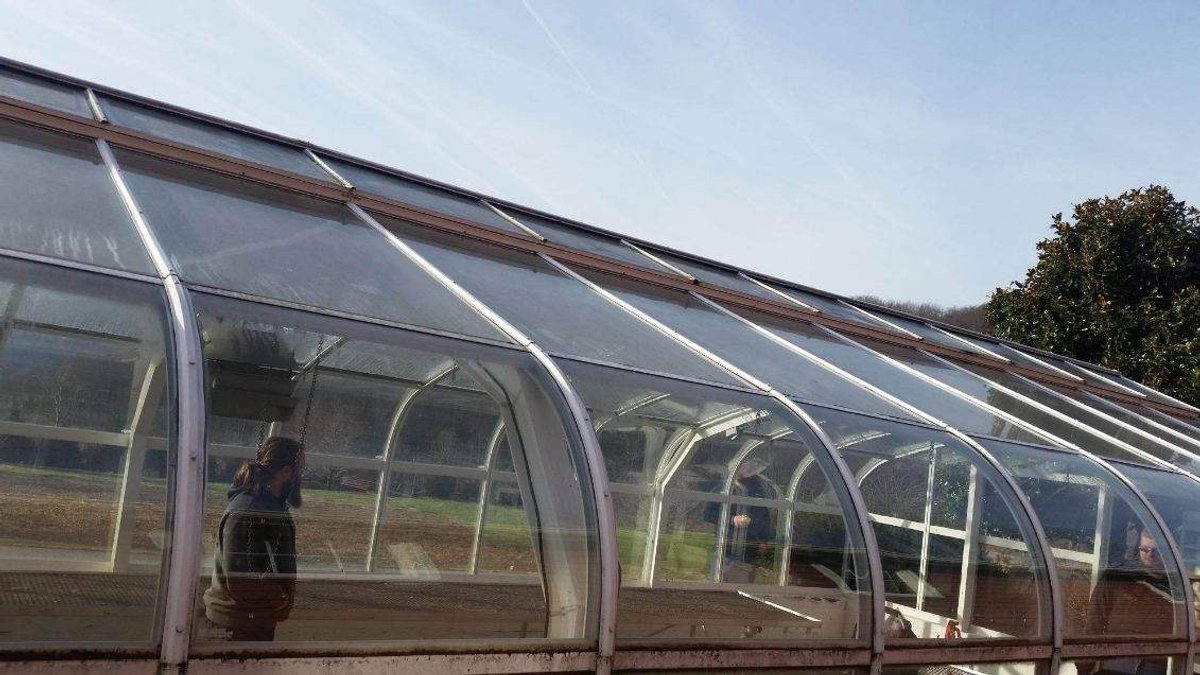 Greenhouse
