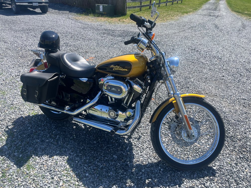 2008 Harley-Davidson XL 1200C Motorcycle