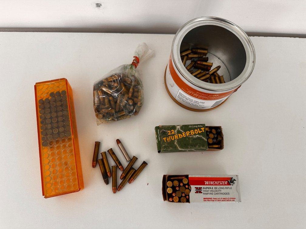 .22 Ammo