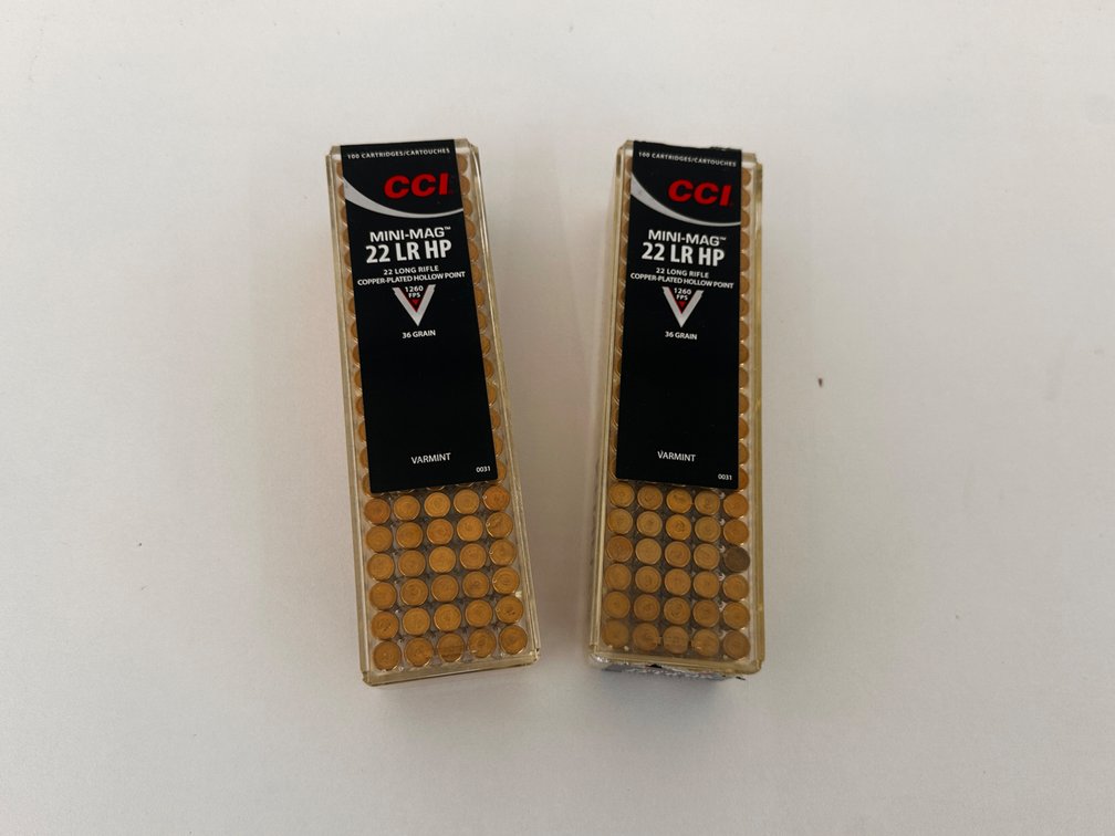 .22 Ammo