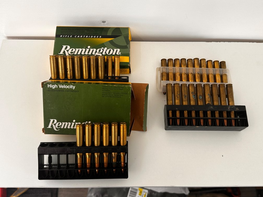 .270 Ammo