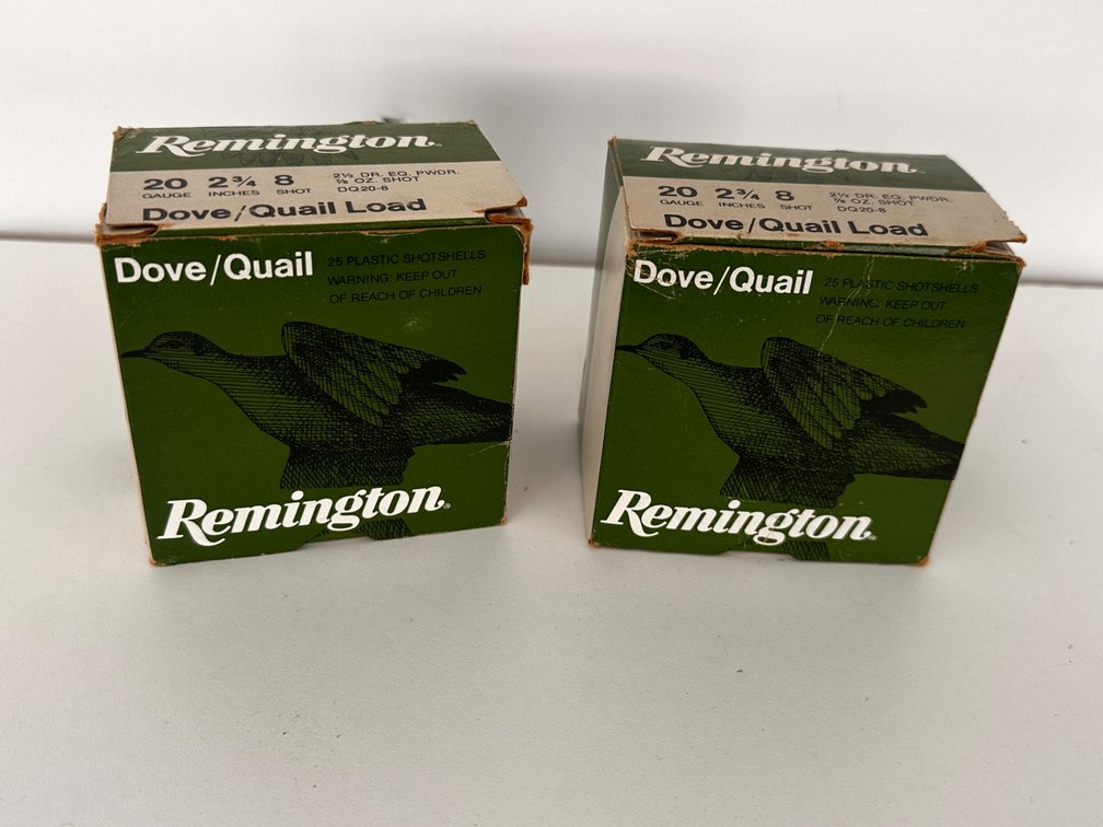 20 Gauge Shells
