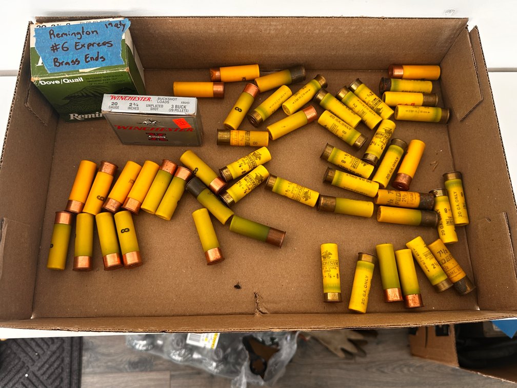20 Gauge Shells