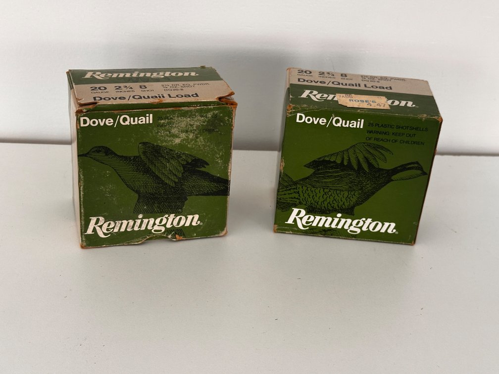20 Gauge Shells