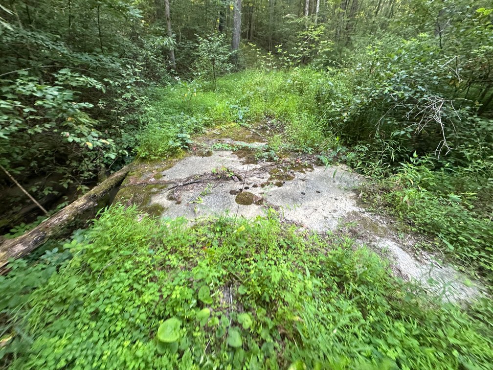 Image for **AUCTION CANCELED** 88+ Acres Wooded Property Bordering National Forest