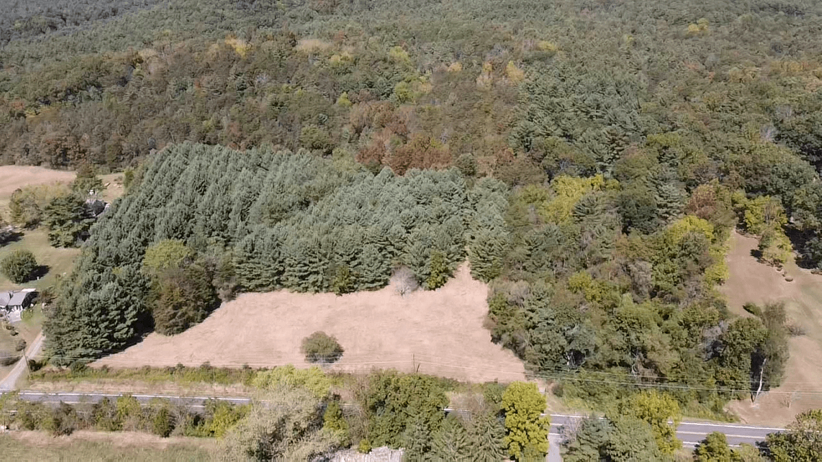 Image for **AUCTION CANCELED** 88+ Acres Wooded Property Bordering National Forest