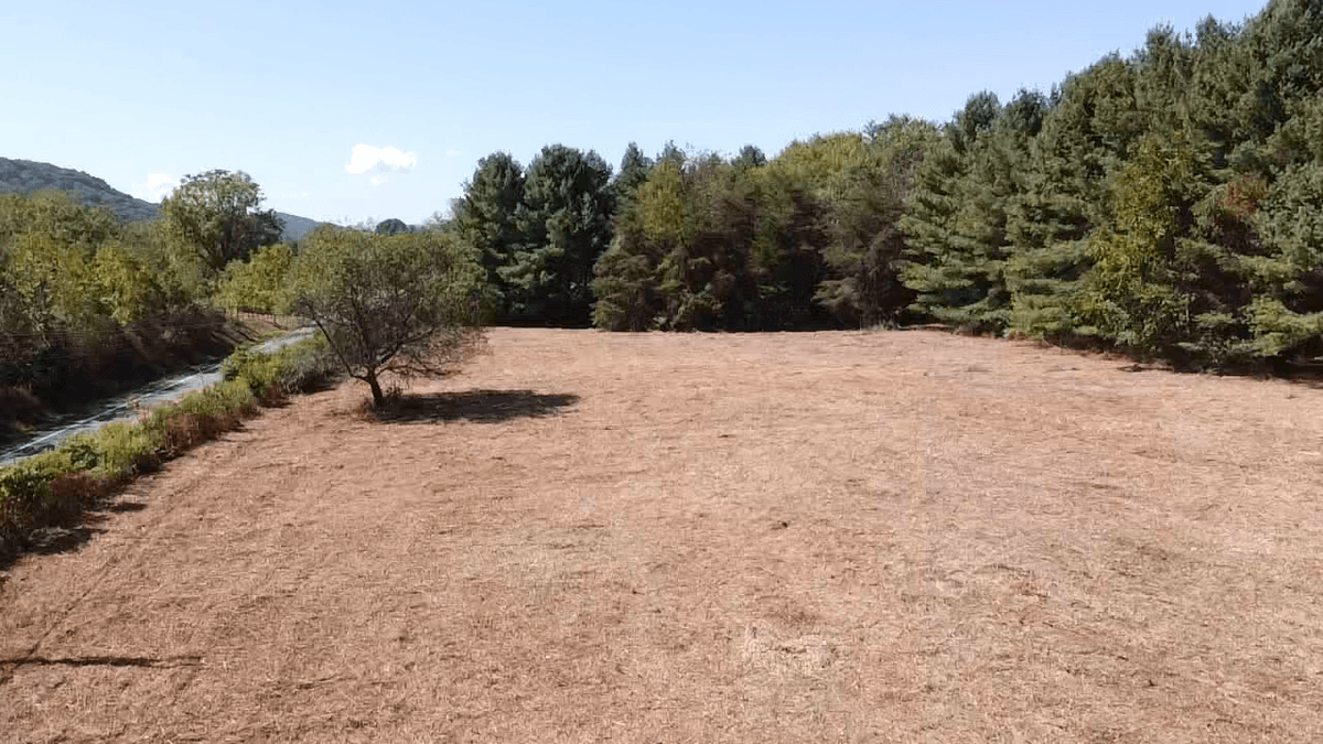 Image for **AUCTION CANCELED** 88+ Acres Wooded Property Bordering National Forest