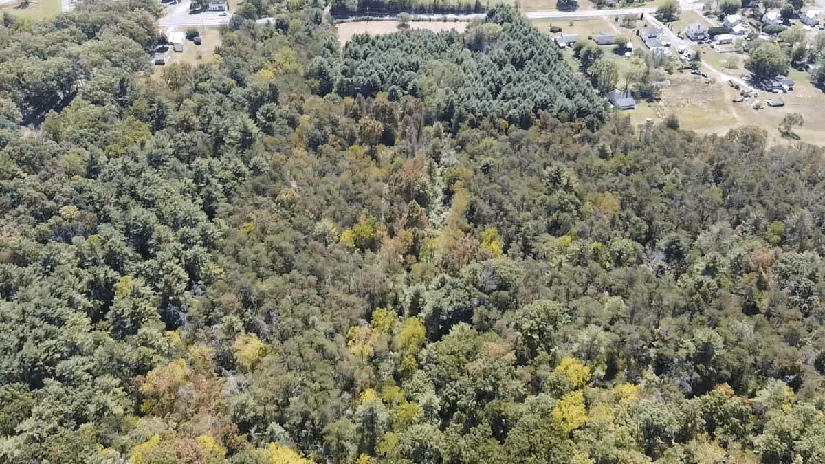 Image for **AUCTION CANCELED** 88+ Acres Wooded Property Bordering National Forest