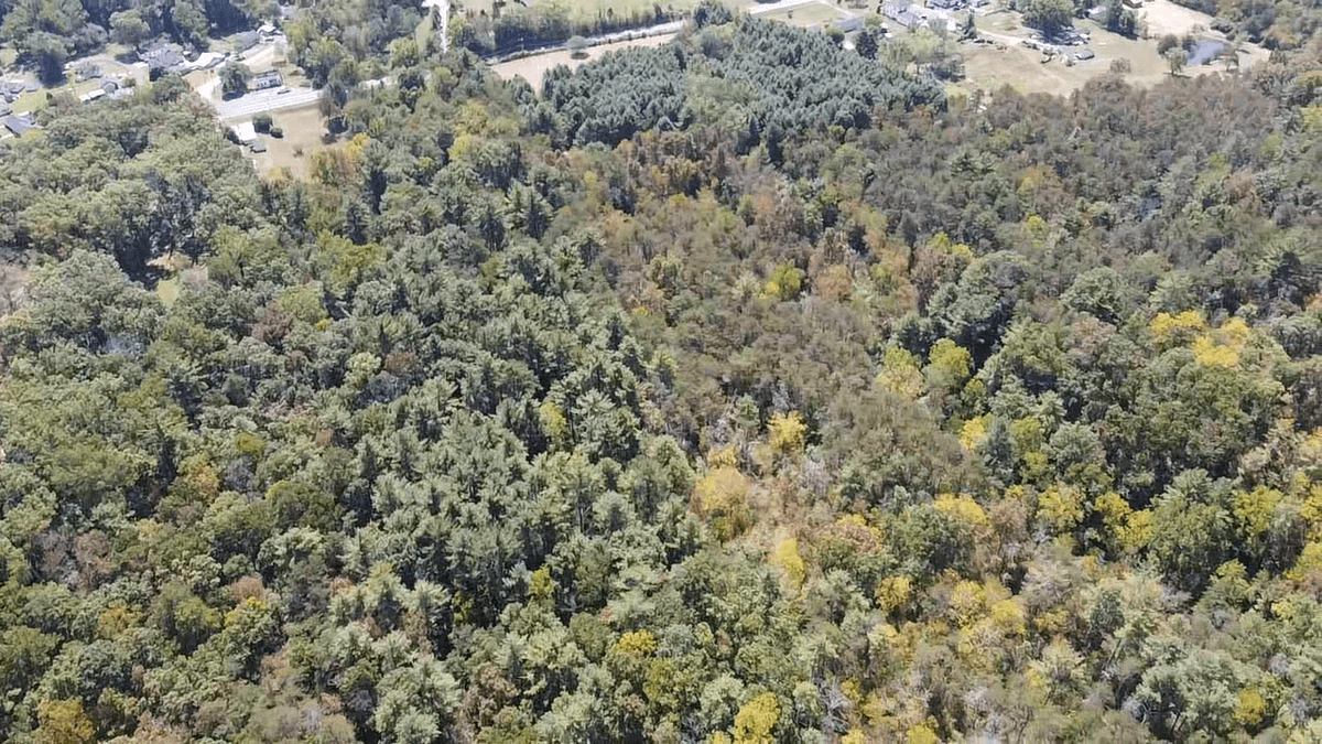 Image for **AUCTION CANCELED** 88+ Acres Wooded Property Bordering National Forest
