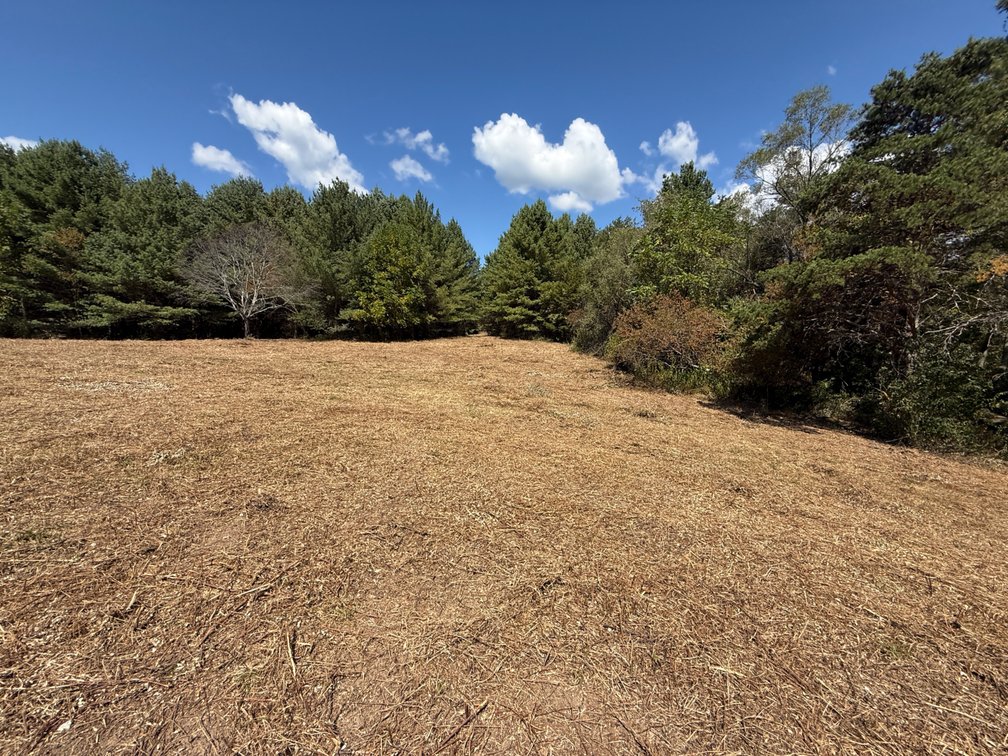 Image for **AUCTION CANCELED** 88+ Acres Wooded Property Bordering National Forest