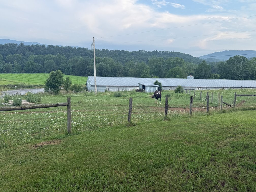 Image for 11.4± Acre Poultry & Livestock Farm with Home