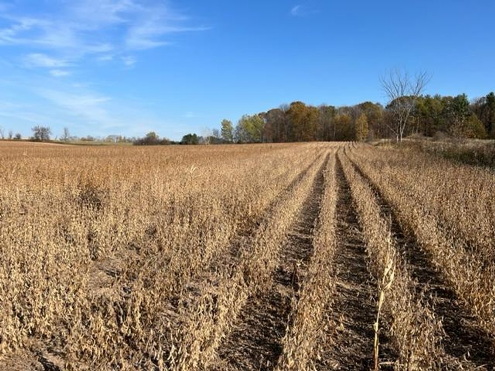 Image for 77 (+/-) Acres of Agricultural & Undeveloped Land - Rice Lake, WI