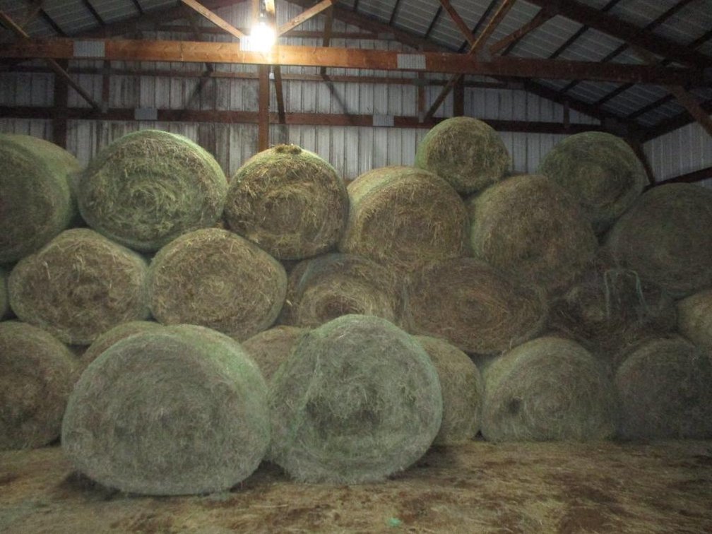 (10) Round Bales of Hay - Chippewa Falls WI 