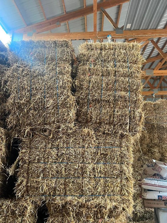 (21) Small Square Bales of Straw in Bundle - Chetek WI