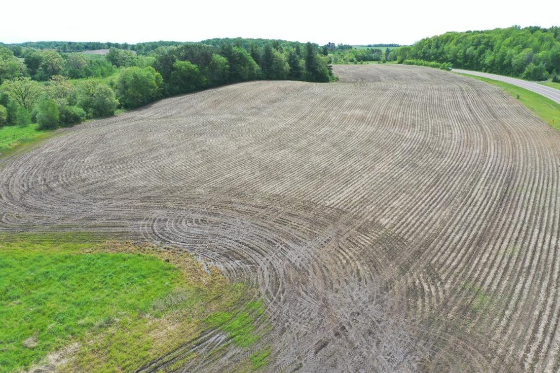 Image for 35.38 (+/-) Acres of Tillable & Recreational Land Ridgeland, WI