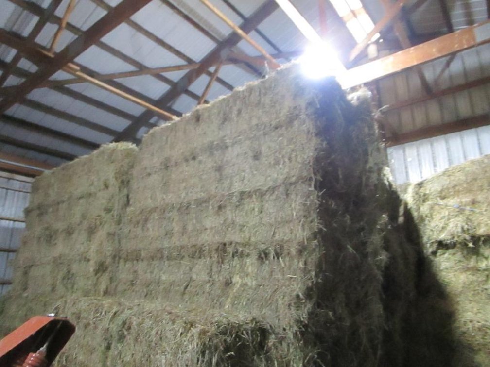(10) Big Square Bales 2nd Crop Hay - Chippewa Falls Wi