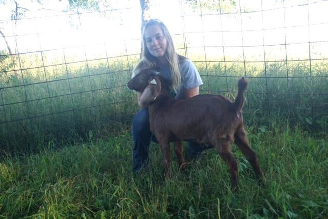 Image for Rusk County Jr Livestock Show & Sale