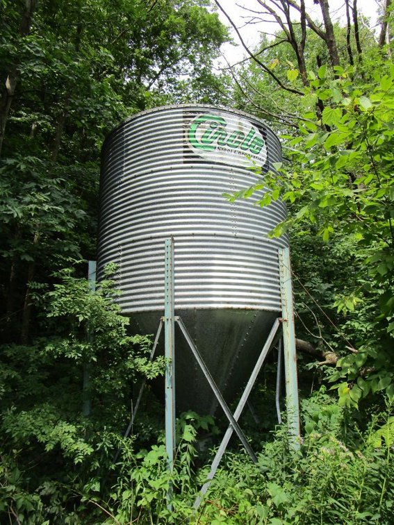 Cirolo Bulk Bin