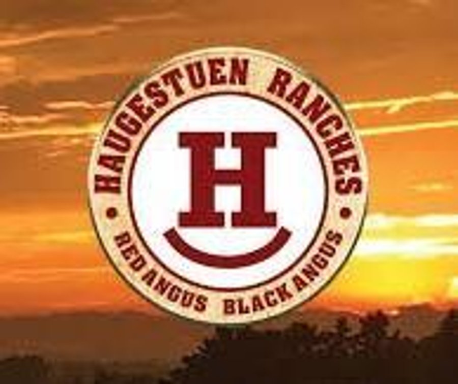 Image for Build Your Herd - Black, Red & Sim Angus - Haugestuen Ranches