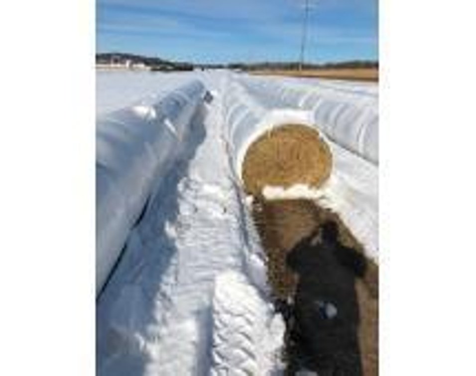 Image for March 2nd Hay Bale Auction - Chippewa Falls, WI