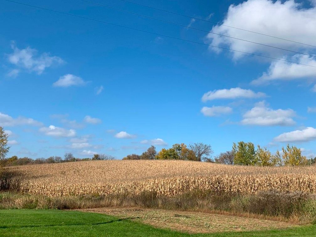 Image for 54+/- Acres Ag Land (2 Parcels) - Amery, WI
