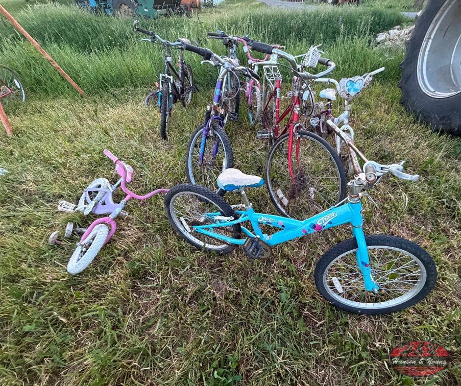Adult Bikes - Blair, WI