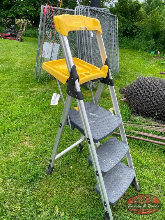 Cosco Step Ladder