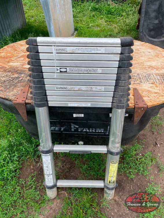 Telescoping Extension Ladder