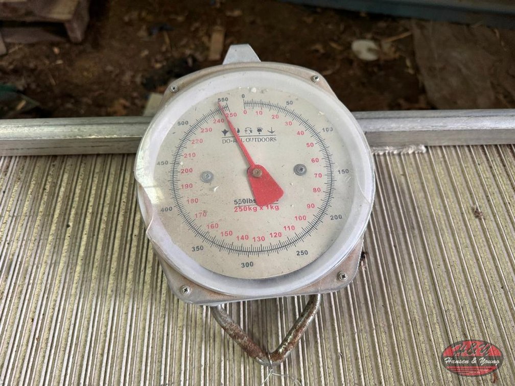 550lb Scale