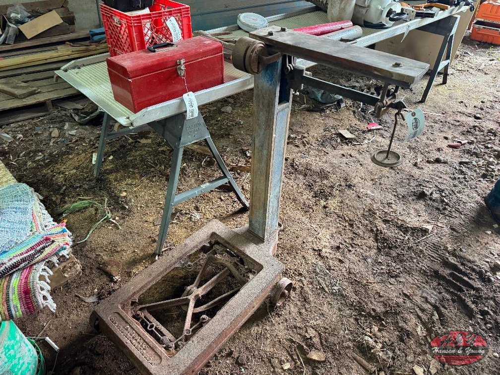 Platform Scale