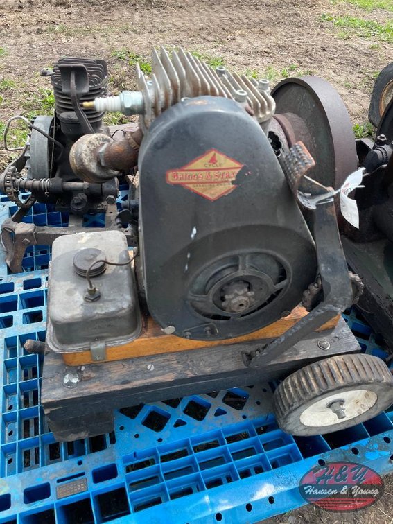 Briggs and Stratton Engine