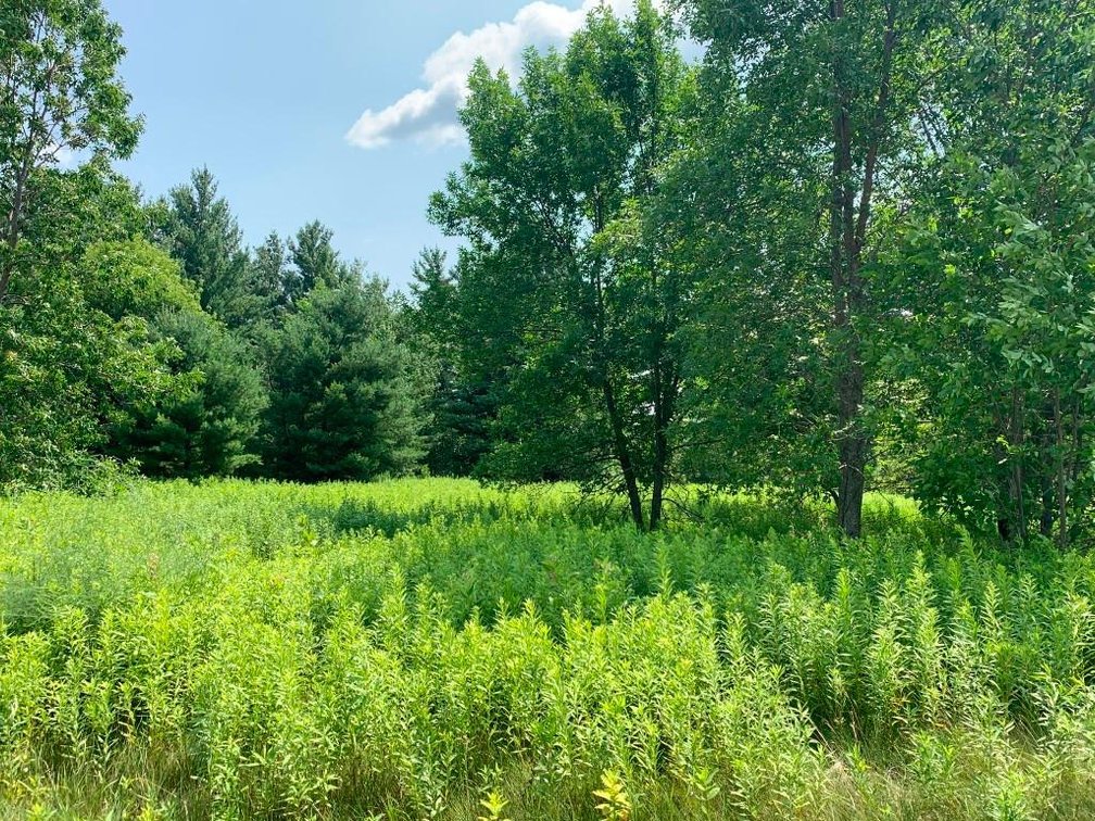 Image for Prime Ag & Commercial Real Estate (3 Lots) - Rice Lake, WI