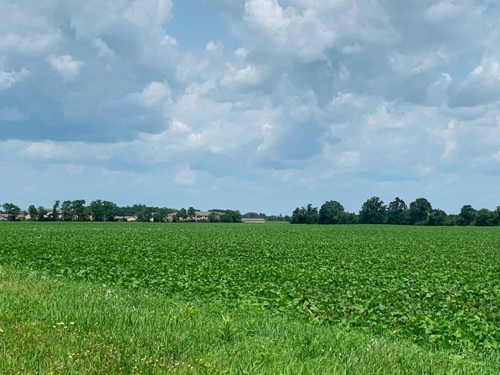 Image for Prime Ag & Commercial Real Estate (3 Lots) - Rice Lake, WI